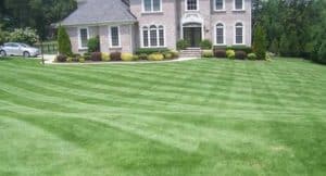 bermuda-grass-lawn