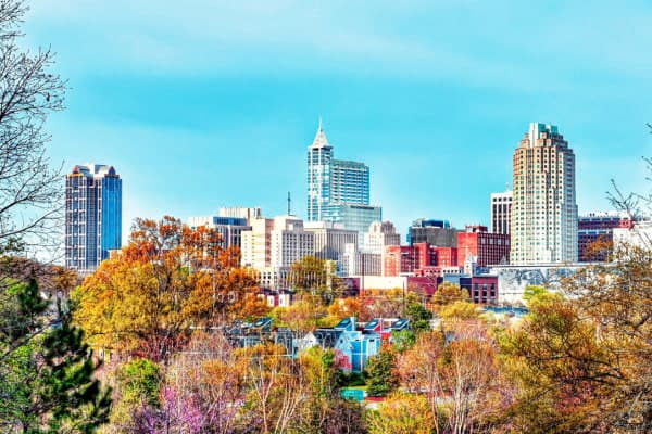 raleigh skyline