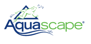 image_2025-01-13_183517052